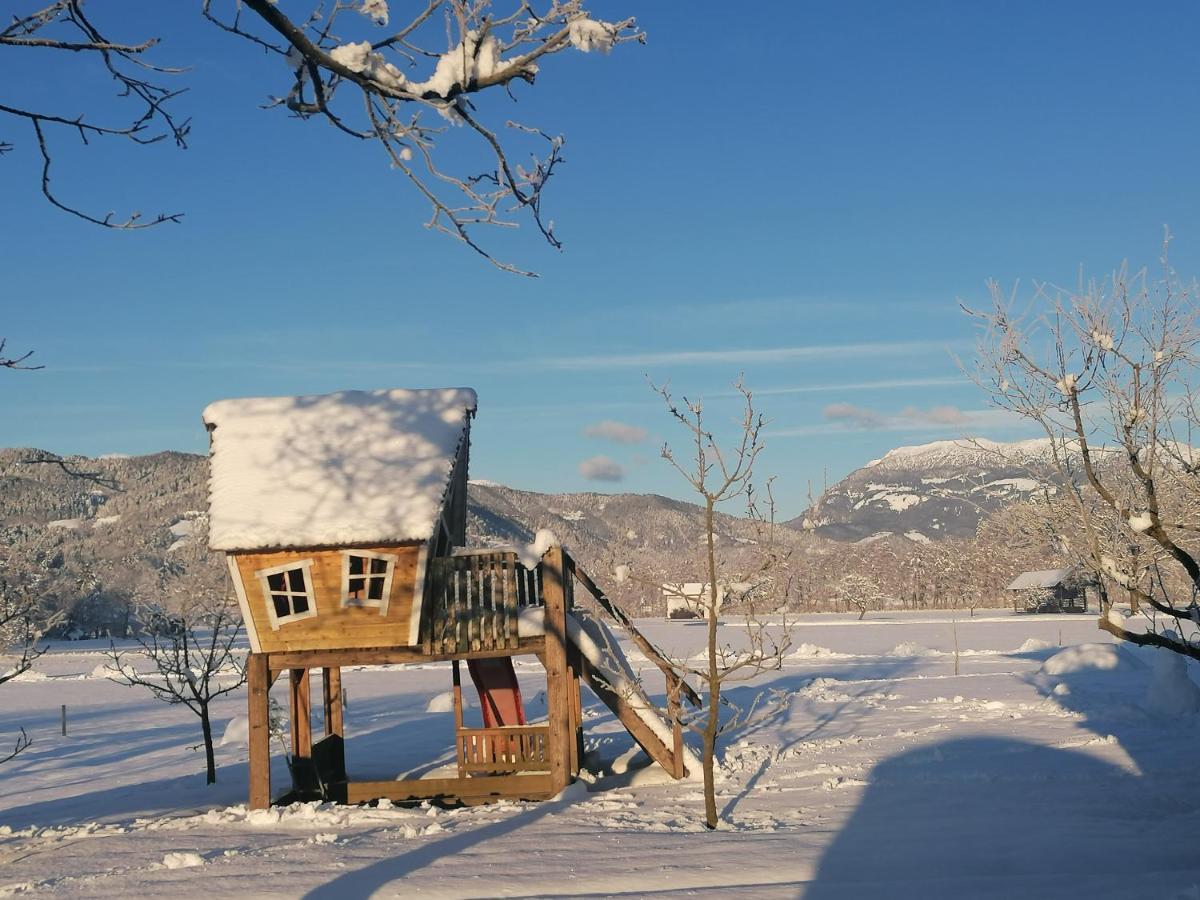 Apartments Novak Ljubno Экстерьер фото